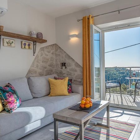 Izabela Apartment With Swimming Pool Babino Polje Extérieur photo